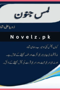 Lams e Junoon Novel by Zoya Ali Shah Complete PDF